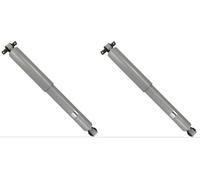 2x Ammortizzatore Posteriore per Chevrolet Blazer 1995-2005 - 4WD / GMC S15
