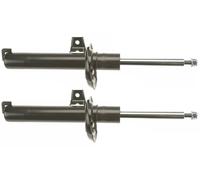 TRW JGM1032T Ammortizzatore