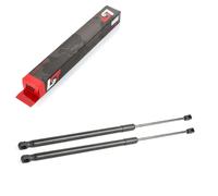 2x Ammortizzatori a Gas Cofano Sollevatore Frontale 125N per VW Touareg 7L 03-10