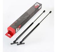 2X Ammortizzatori A Gas Per Il Cofano Anteriore 240N Per Opel Omega B 94-03