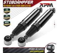 2X Ammortizzatori A Gas Posteriori Per Peugeot 306 Citroën Xsara ZX N1 N2
