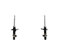 2x Ammortizzatori ASHIKA Davanti S+D per CITROËN, PEUGEOT 301, C-ELYSEE