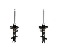 2x Ammortizzatori ASHIKA Davanti S+D per FORD FIESTA VI