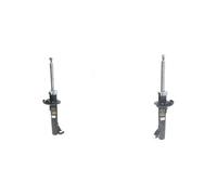 2x Ammortizzatori ASHIKA Davanti S+D per FORD, MAZDA 2 I, FIESTA V