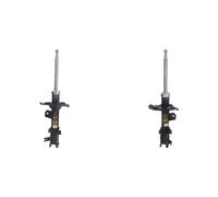 2x Ammortizzatori ASHIKA Davanti S+D per HYUNDAI, KIA ACCENT III, RIO II