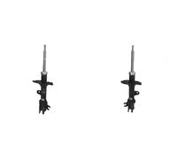 2x Ammortizzatori ASHIKA Davanti S+D per HYUNDAI, KIA SPORTAGE II (JE_, KM_)
