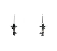 2x Ammortizzatori ASHIKA Davanti S+D per OPEL SIGNUM, VECTRA C, VECTRA C GTS