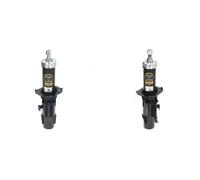 2x Ammortizzatori ASHIKA Davanti S+D per PIAGGIO PORTER Furgon, PORTER