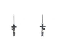 2x Ammortizzatori ASHIKA Davanti S+D per SUZUKI GRAND VITARA II