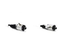 2x Ammortizzatori pneumatici Arnott Davanti S+D per AUDI A8 D3