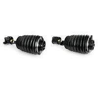2x Ammortizzatori pneumatici Arnott Davanti S+D per MERCEDES-BENZ CLS (C218)