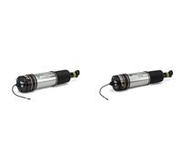 2x Ammortizzatori pneumatici Arnott S+D per BMW 7 E65 E66 E67