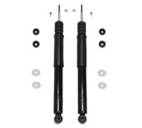 2x Ammortizzatori posteriori per RENAULT CLIO III, MODUS GRAND MODUS
