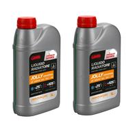 2x Antigelo Auto Universale Liquido protettivo Radiatore Arancio G11 G12 G13 1LT