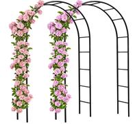 2X Arco per Rampicanti 240x140x37cm Metallo Traliccio per Rose Pergolato Vite