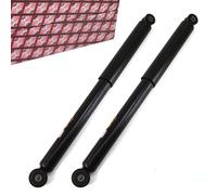 2x Ashika Ammortizzatore Posteriore per Daihatsu Materia M4 Sirion M3 Subaru