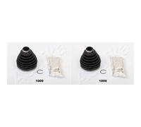 2x ASHIKA Soffietto Assale Posteriore Albero Motore per Nissan Front III R51
