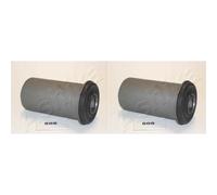 2x ASHIKA Supporto Ammortizzatore Anteriore per Mitsubishi L 200 K7_T K6_T 2.5