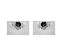 2x AUTOMEGA Supporto Posteriore per Ford Fiesta V Jh _ Jd _ 1.25 16V 1.4