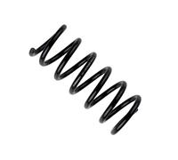 2x BILSTEIN 36-317110 Molle ammortizzatori Assale posteriore