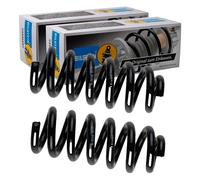 2X BILSTEIN Molle Sospensione Posteriore Adatto Per