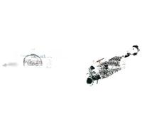 2x Boccole braccio oscillante METZGER S+D per MINI CABRIO R52 I, MINI I