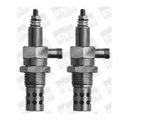2X BORGWARNER (BERU) GF111 Candela Di Accensione
