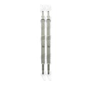 Candeletta BORG WARNER (BERU) GN 026