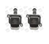 2X BORGWARNER (BERU) ZS302 Bobina Di Accensione Per BMW E36 E46 E39 E53