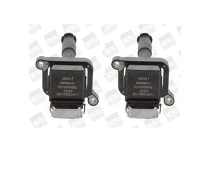 2X BORGWARNER (BERU) ZS302 Bobina Di Accensione Per BMW E36 E46 E39 E53