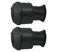 2x Borsa a sospensione pneumatica posteriore for Citroen C4 Picasso 5102GN