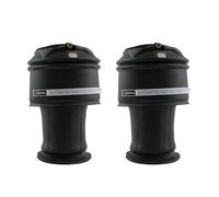 2x Borsa a sospensione pneumatica posteriore for Citroen C4 Picasso 5102GN