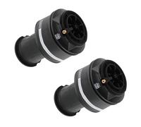 2x Borsa a sospensione pneumatica posteriore for Citroen C4 Picasso 5102GN