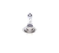 2x BOSCH H7 Lampadina faro di profondità 12V 55W PX26d Abbagliante Alogeno 1 987