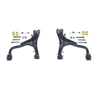 2x Bracci oscillanti DENCKERMANN Retro S+D per LAND ROVER DISCOVERY IV, III