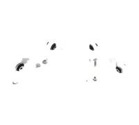 2x Bracci oscillanti FAG Retro S+D per ALPINA, BMW 5 F10, 6 F06, 6 F12, 6 F13,