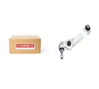 Braccio oscillante Assale anteriore Dx Braccio longitudinale oscillante 9050094