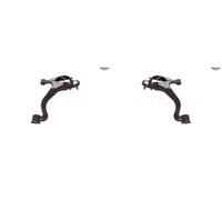 2x Bracci oscillanti SIDEM Sotto S+D per LAND ROVER DISCOVERY III, DISCOVERY