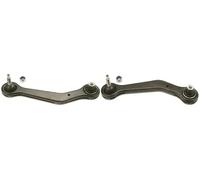 2x Bracci oscillanti TRW Retro S+D per BMW X3 E53