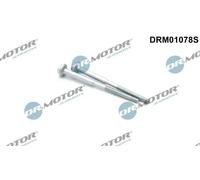 2x Bullone, Supporto iniettore Poligonale incassata DRM01078S per VW SKODA AUDI