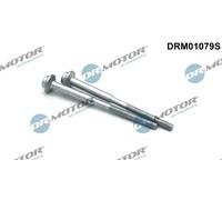 2x Bullone, Supporto iniettore Poligonale incassata DRM01079S per VW SEAT SKODA