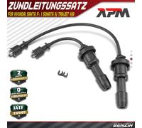 2X Cavo Di Accensione Set Cavi Per Hyundai Santa Fé I Sonata Trajet KIA 2.0 2.4L