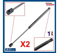 2x Cilindro Cofano Portellone Pinze per Citroën C3 (2002-2011) - 8731.K9
