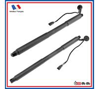 2x Cilindro Portellone Elettrico Posteriore Sinistra Destra Equivalente A