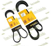 2x cinghie scanalate CONTI BMW E46 E39 E83 E53 320-325-330-520i-525i-530i X3 X5