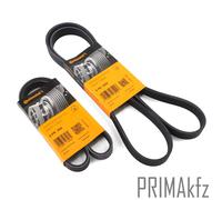 Conti 6PK1555 Cinghia Scanalata per BMW 3er 5er Escort Focus Volvo Transporter V