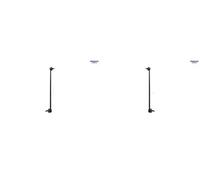 2x Collegamenti barra stabilizzatrice SIDEM Davanti S+D per BMW 5 E60, 5 E61,