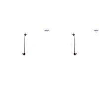 2x Collegamenti barra stabilizzatrice SIDEM Esterno S+D per HYUNDAI, KIA SANTA