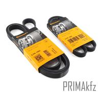 2x Conti 5PK1592+4PK855 Cinghia Scanalata per Audi A4 B5 A6 VW Passat 1.9 Tdi