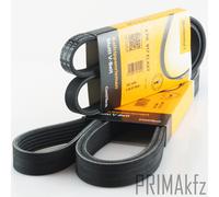 2x Conti 6PK2080+4PK917ELAST Cinghia Scanalata per BMW 3er E46 X3 E83 318d 320